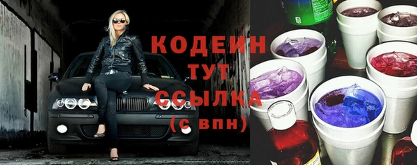 шишки Верхний Тагил